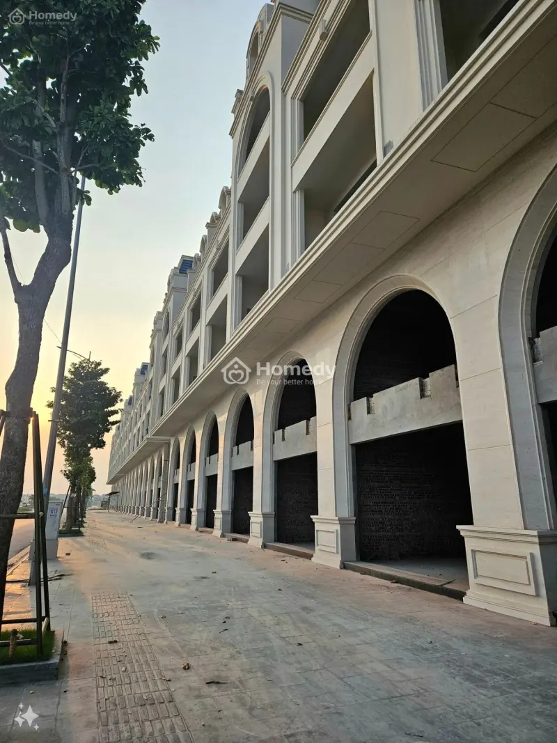 6008054 ảnh đại diện 1