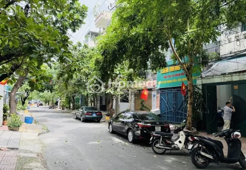 6007370 ảnh đại diện 1