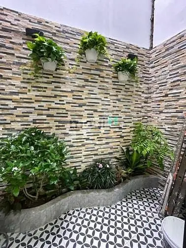 6007850 ảnh đại diện 1
