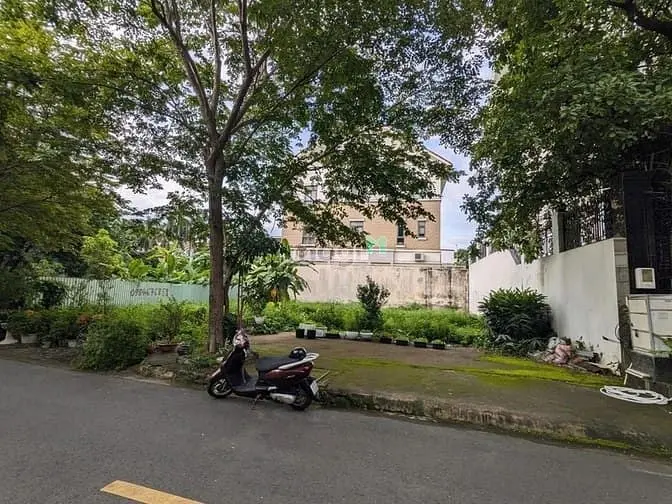 6007512 ảnh đại diện 1