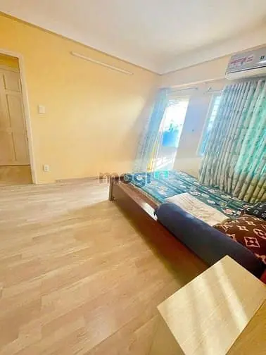 6007931 ảnh đại diện 1