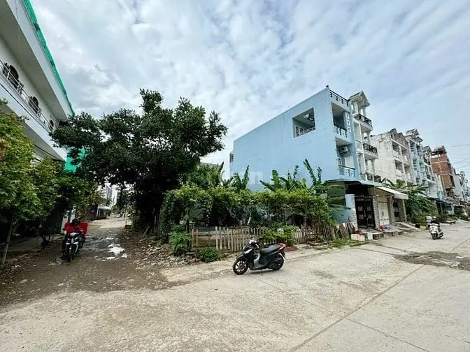 6007960 ảnh đại diện 1