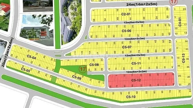 6007529 ảnh đại diện 1