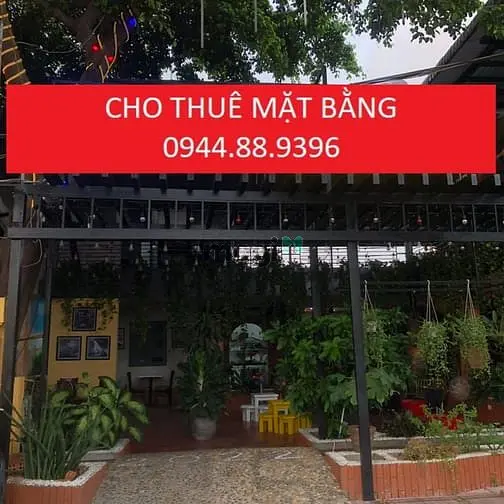 6007389 ảnh đại diện 1
