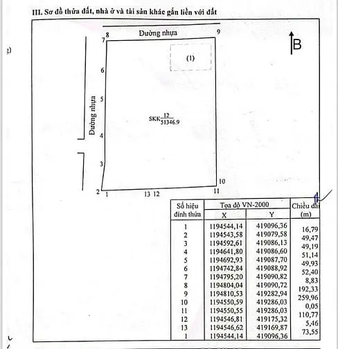 6007845 ảnh đại diện 1
