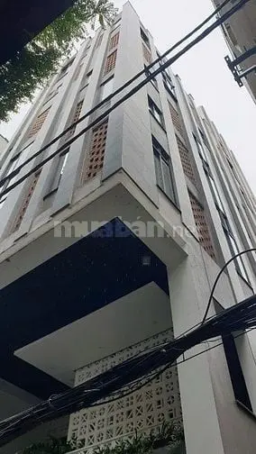 6009052 ảnh đại diện 1