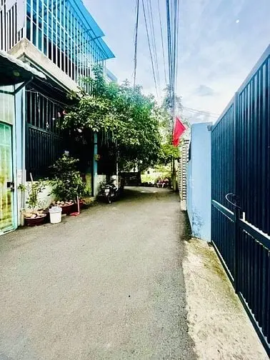 6008043 ảnh đại diện 1