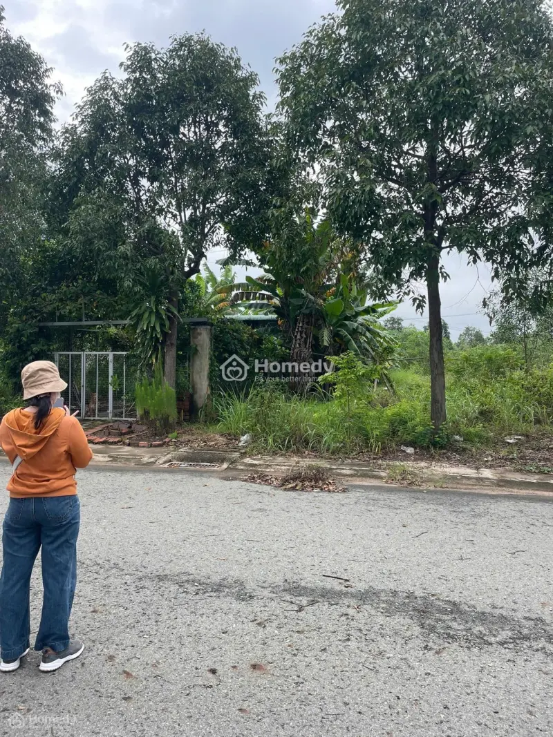 6007794 ảnh đại diện 1