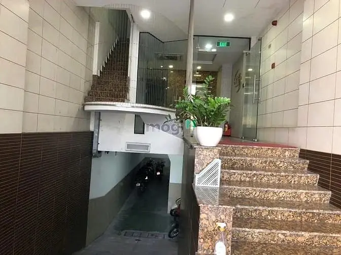 6008528 ảnh đại diện 1