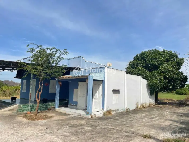 6007982 ảnh đại diện 1