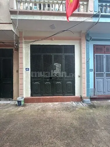 6007485 ảnh đại diện 1