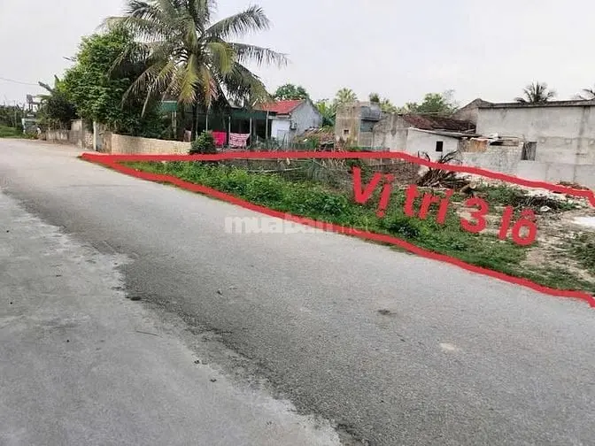 Bán 110M2 Đất Ngọc Lặc Ngay Quốc Lộ 15, Mt 10M, Nhỉnh 200 Triệu
