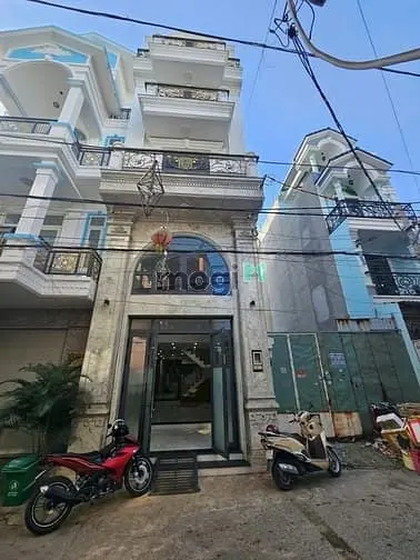 6007900 ảnh đại diện 1