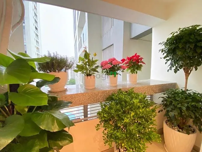 Bán Cc Đẹp Tại Riverpark Residence,3Pn Giá 14,8 Tỷ, 126M2, Quận 7, Hcm