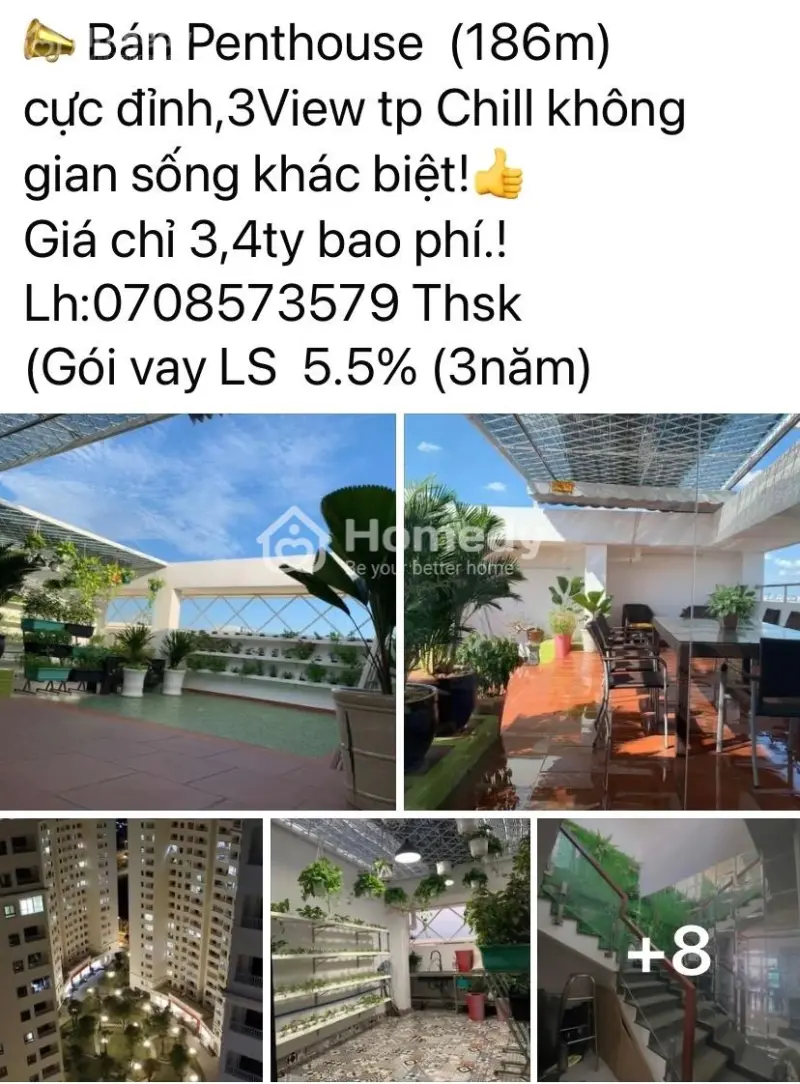 6007818 ảnh đại diện 1