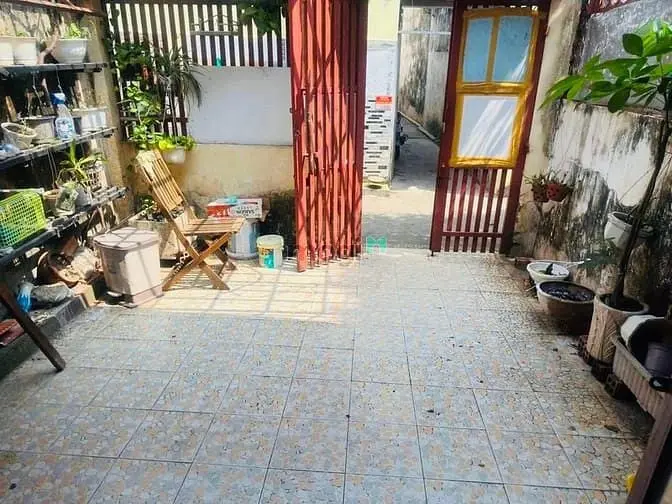 6007490 ảnh đại diện 1