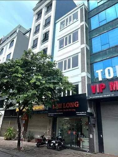 6007827 ảnh đại diện 1