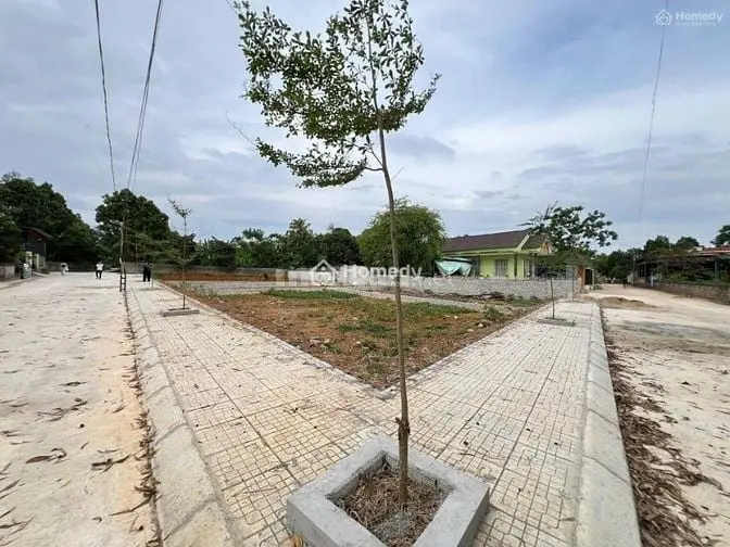 6008818 ảnh đại diện 1