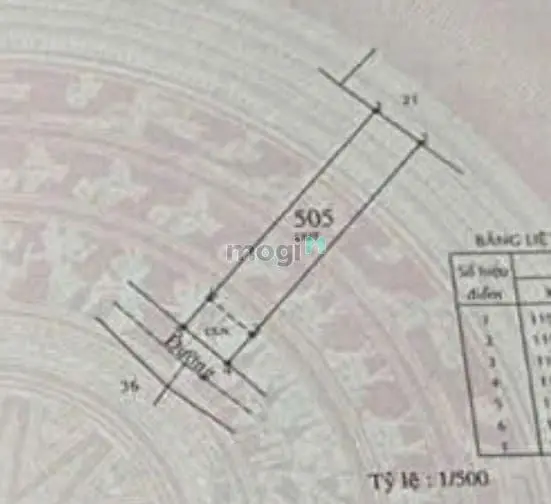 6008138 ảnh đại diện 1