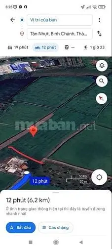 Đất Nông Nghiệp Bình Chánh Cần Bán Gấp