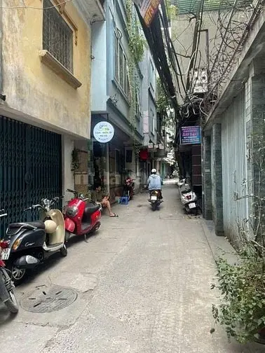 6007403 ảnh đại diện 1