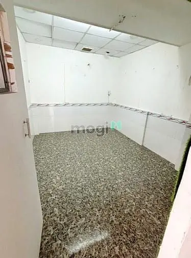 6008495 ảnh đại diện 1