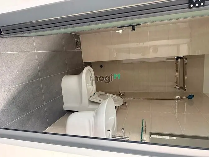 6007537 ảnh đại diện 1