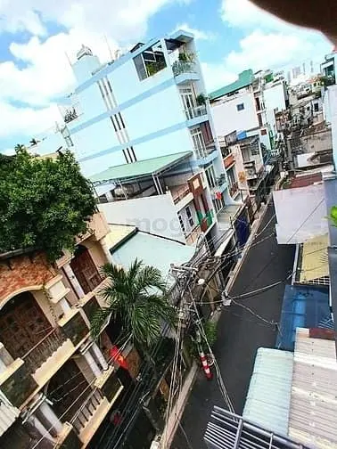 6008731 ảnh đại diện 1