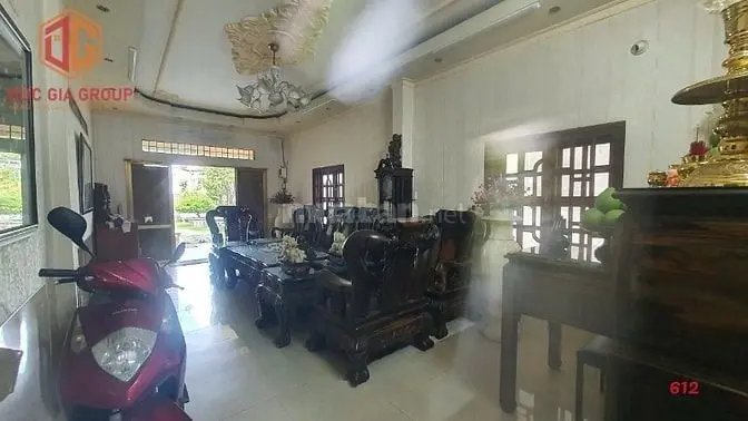 6008095 ảnh đại diện 1