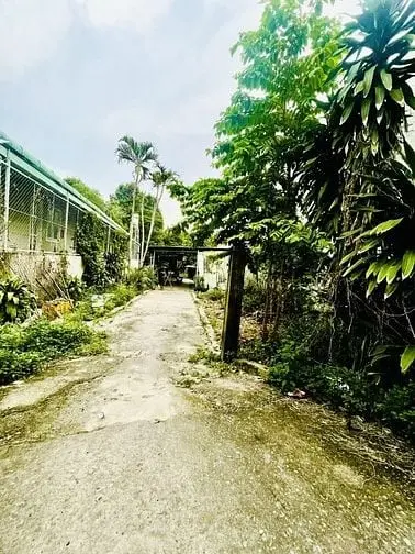Chủ Cần Bán Gấp Để Chửa Bệnh, Sổ Để Nhà Không Vay.