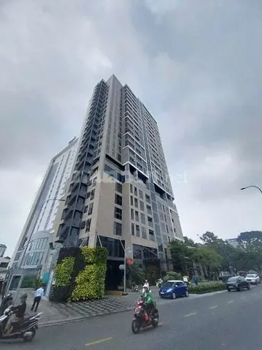 6009134 ảnh đại diện 1