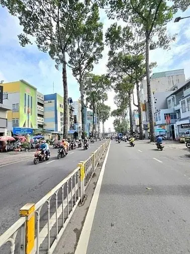 6007466 ảnh đại diện 1