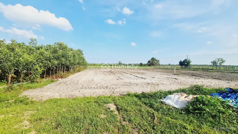 💥Bán Đất 19X52 1003M², Đường Oto, Gần Biển Lagi – Giá Chỉ 1,75 Tỷ