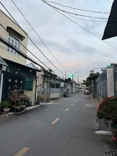 6007459 ảnh đại diện 1