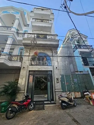 6008470 ảnh đại diện 1