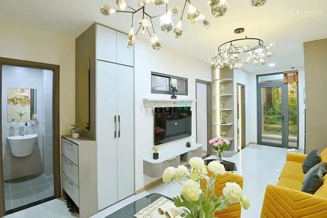6007808 ảnh đại diện 1