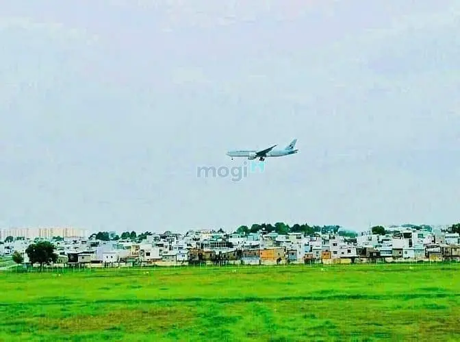 6007406 ảnh đại diện 1