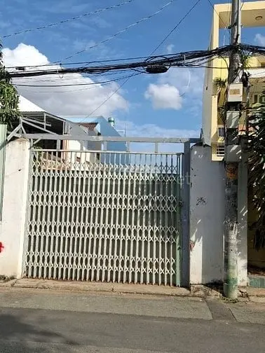 6007509 ảnh đại diện 1