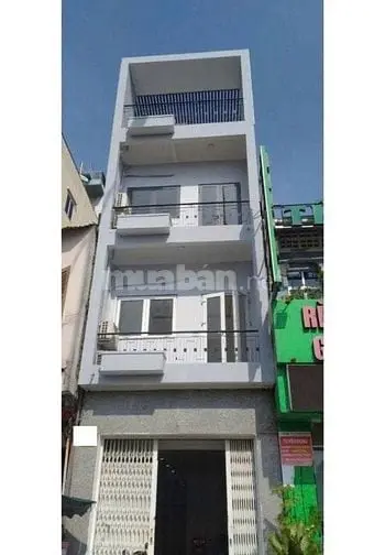 6007566 ảnh đại diện 1