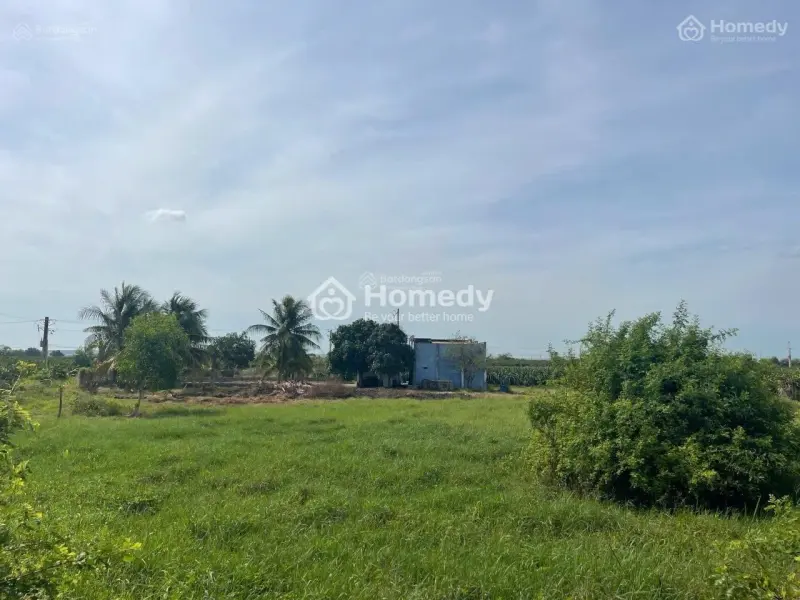 Bán Gấp Lô Đất Gần 10.000M² Tại Hàm Kiệm Gần Nút Giao Cao Tốc Xuống Novaword Pt, Sổ Đỏ Chính Chủ