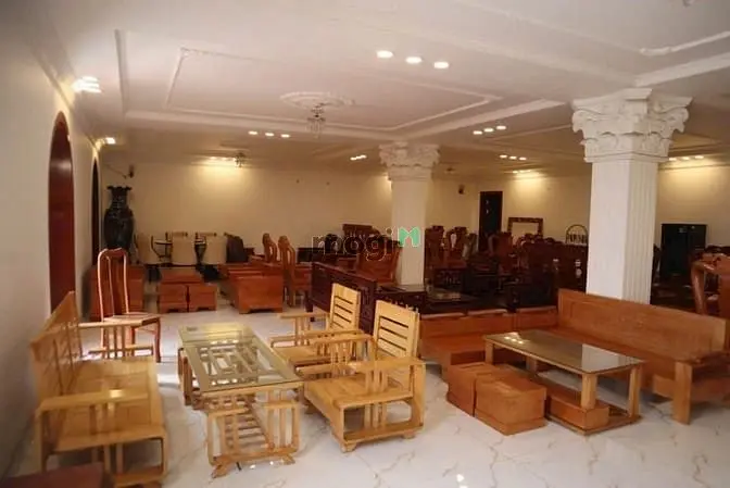 6008354 ảnh đại diện 1