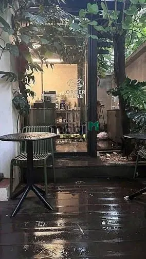6007454 ảnh đại diện 1