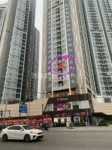 6007416 ảnh đại diện 1