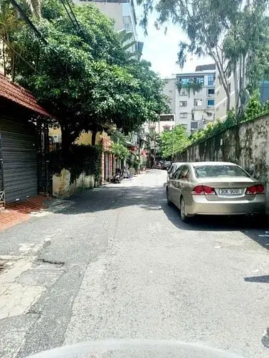 6013663 ảnh đại diện 1