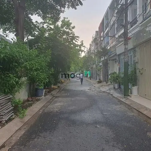 6011394 ảnh đại diện 1
