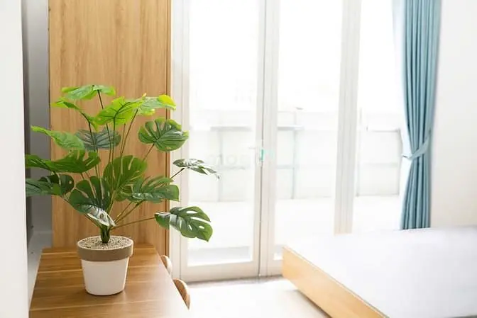 Cho Thuê Chdv Studio Siêu Thoáng -Gần Lotte, Cầu Kênh Tẻ , Đh Tđt- Ntt