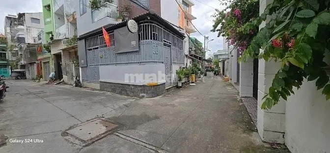 6009145 ảnh đại diện 1