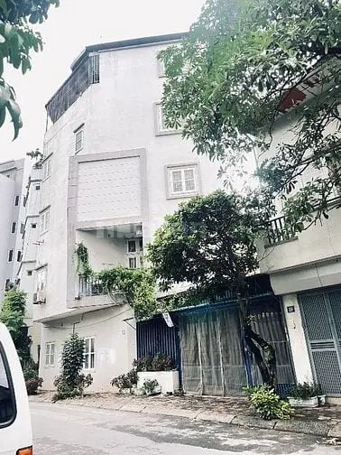 6011415 ảnh đại diện 1