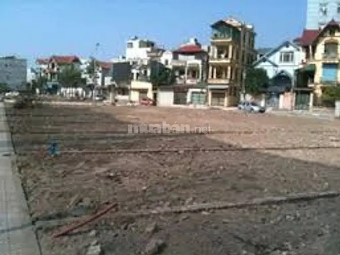 180M2 Đất Cần Bán Phường Đại Yên, Tp Hạ Long, Tỉnh Quảng Ninh