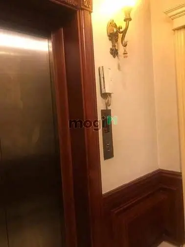 6010347 ảnh đại diện 1